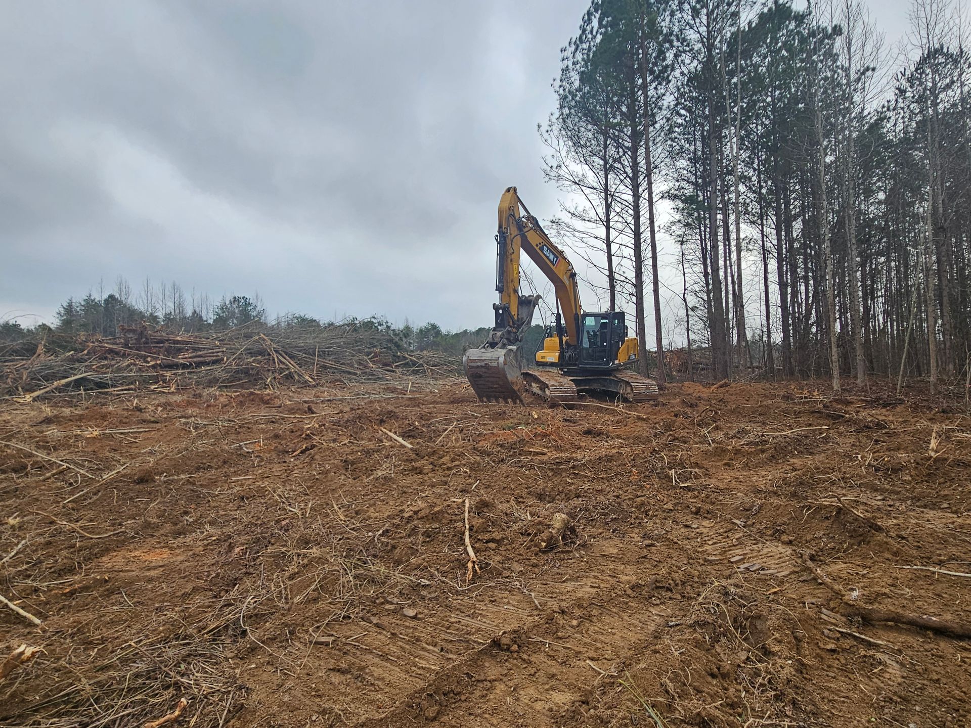 Excavator working on a cleared dirt lot beside a line of tall trees under a cloudy sky