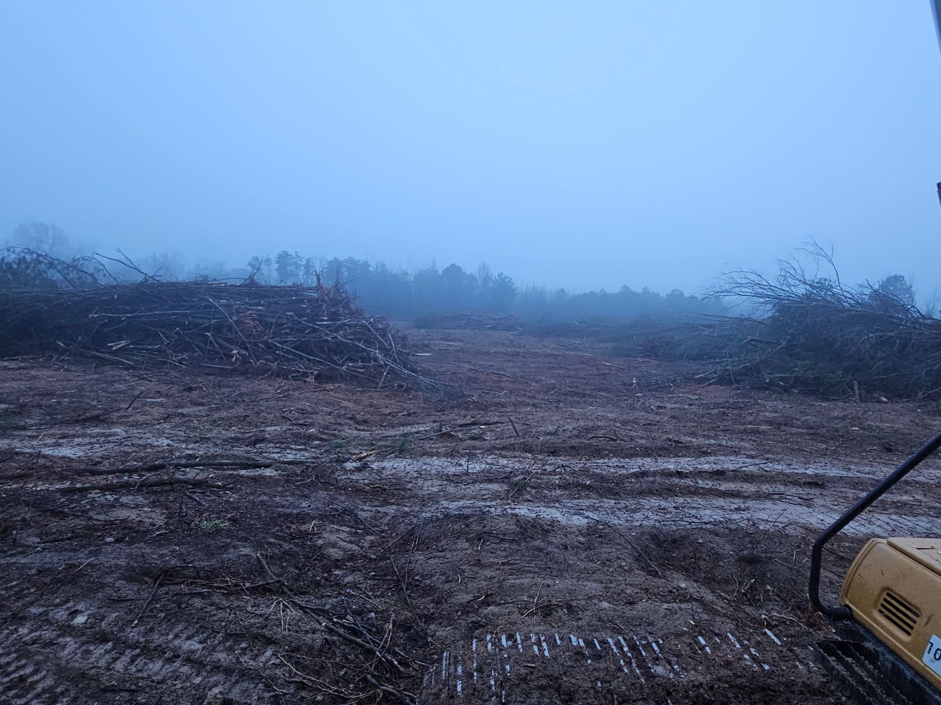 Foggy muddy clearing with tire tracks and bare trees in the distance