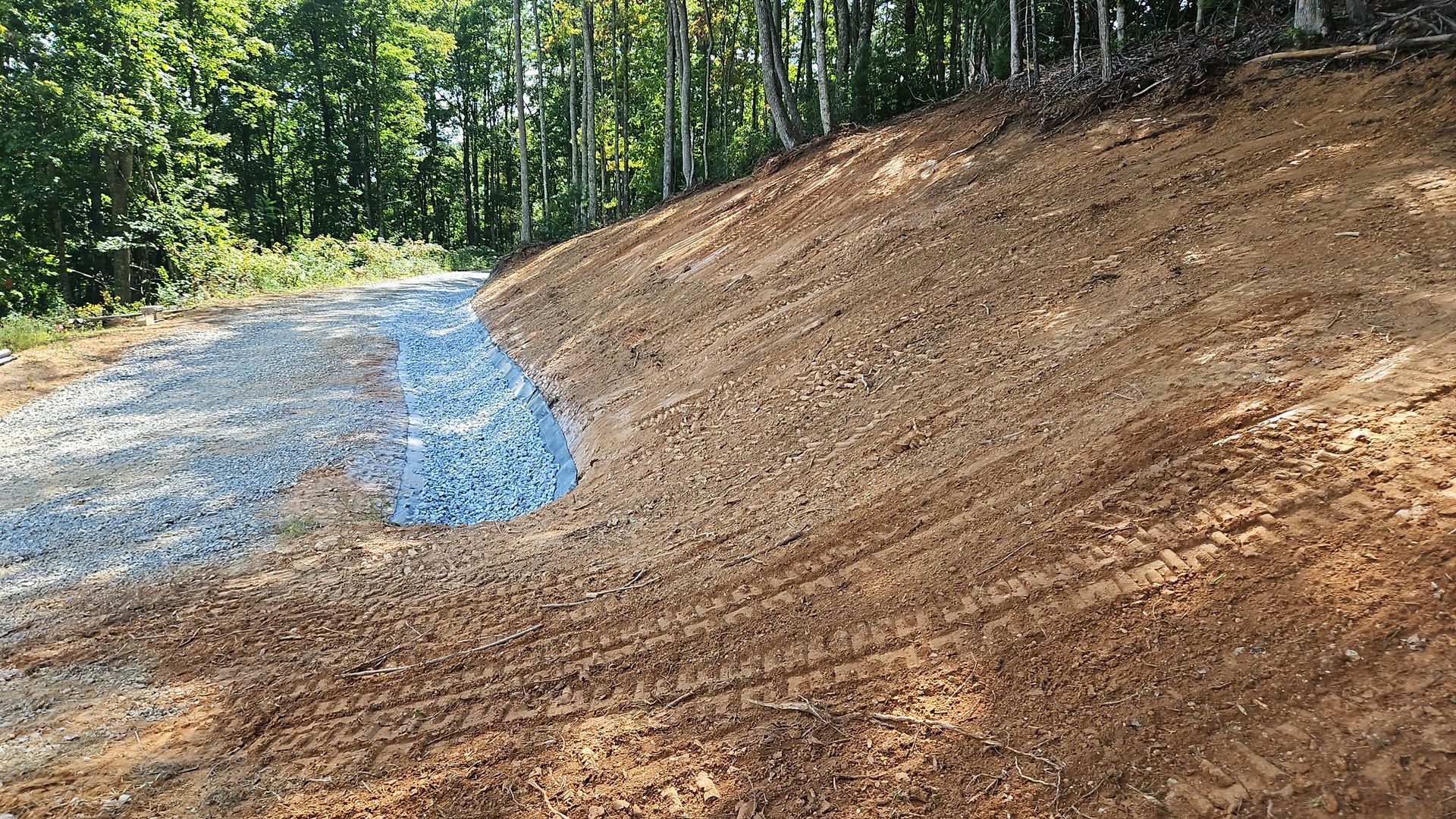 Cleared dirt slope beside a blue gravel path at the edge of a wooded area
