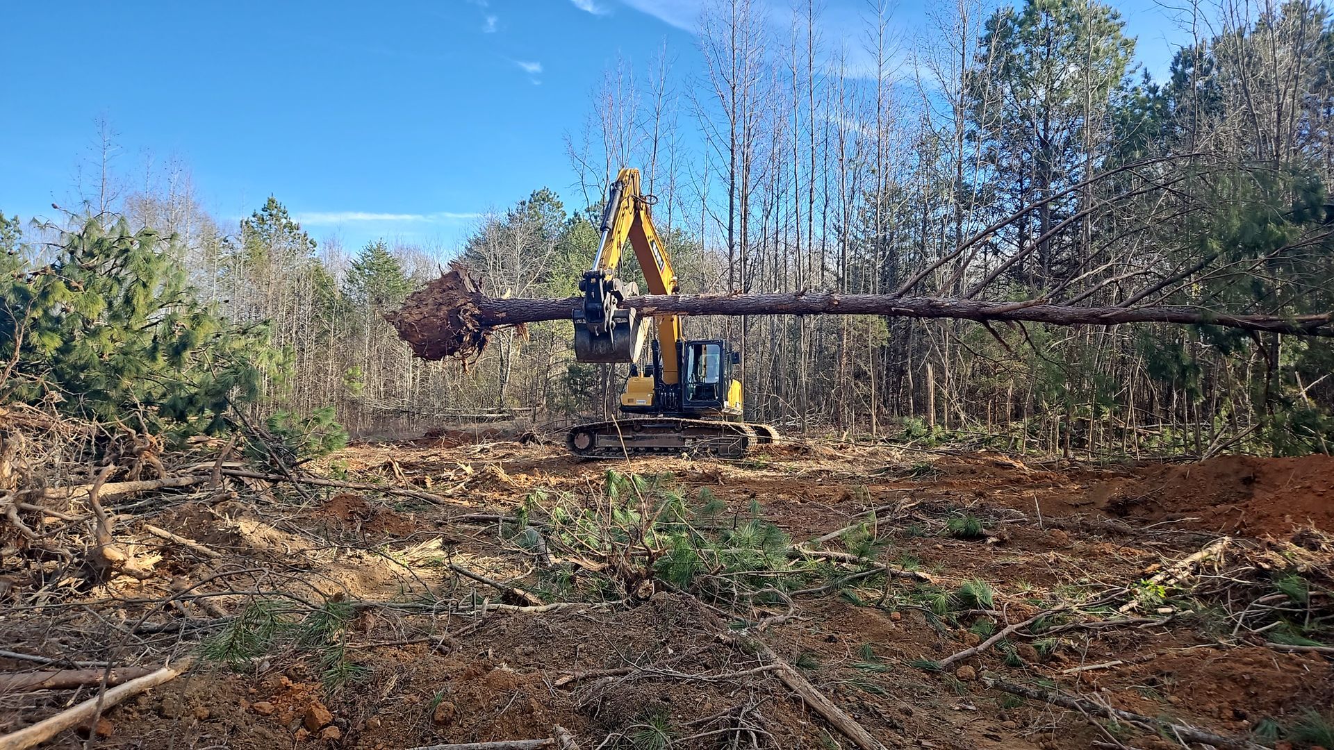 Yellow excavator clearing brush in a wooded field under a blue sky