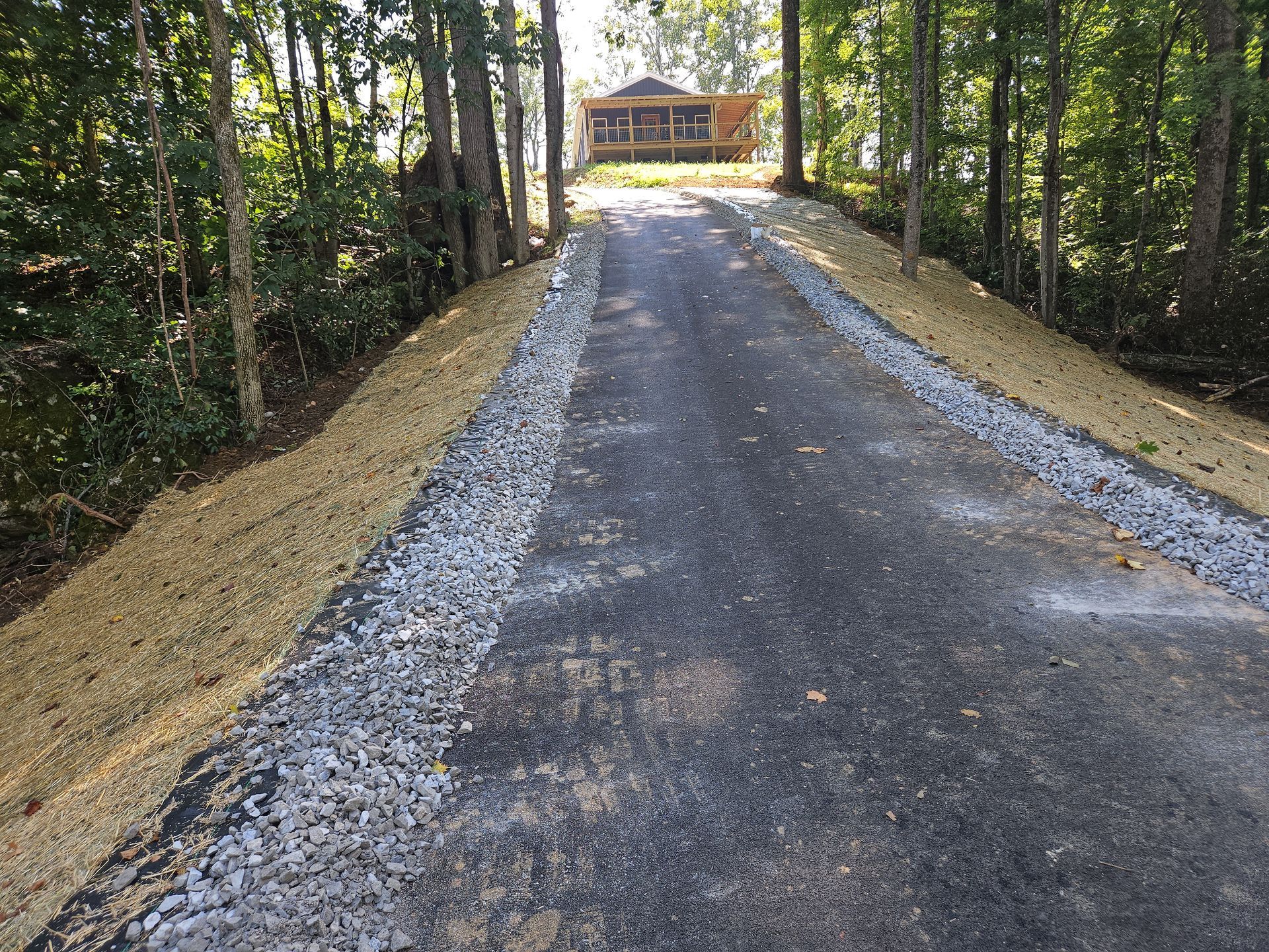 Gravel driveway leading to a house through a wooded area, with trees lining both sides.