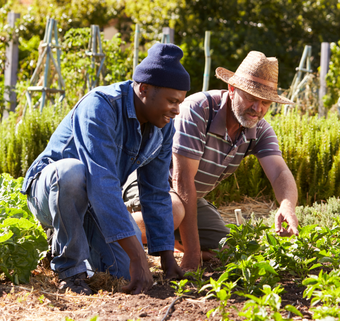Planting in Minden Community Food Centre