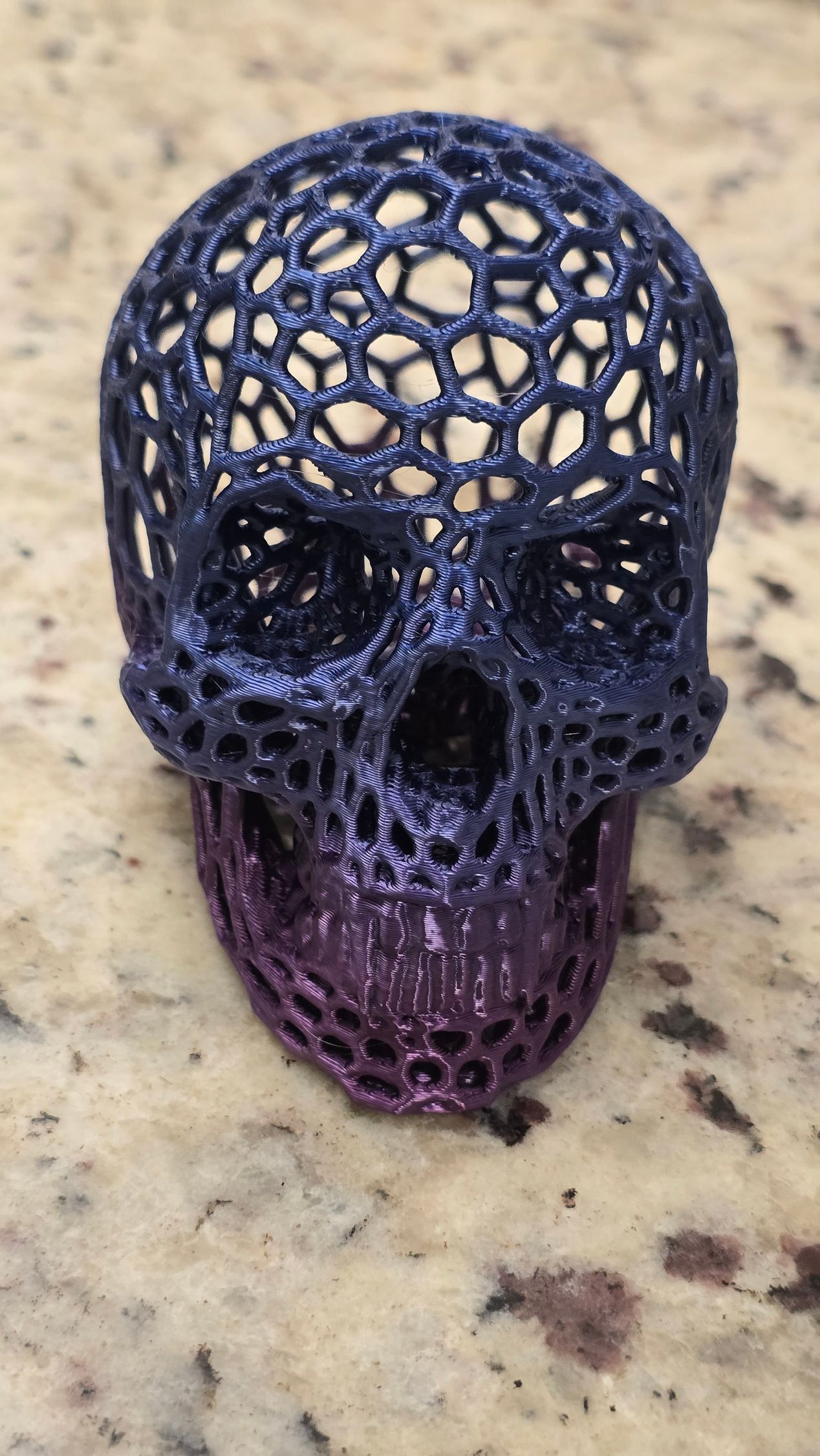 3D Printed Vampire Skull