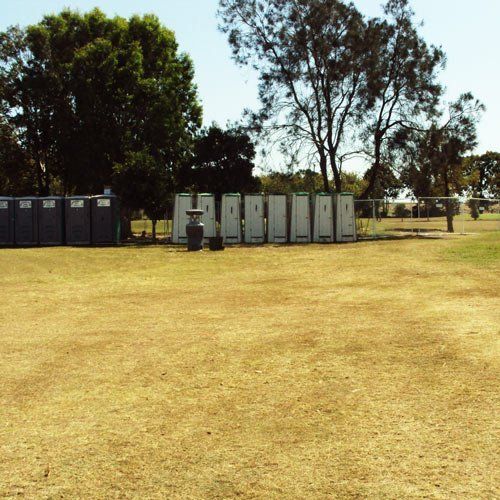 A row of portable toilets stands in a field of dry, yellow grass under a clear sky, flanked by trees.