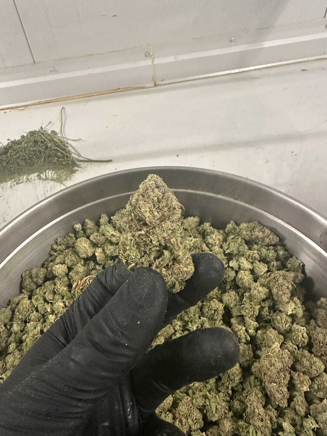 Finished Trimmed Flower