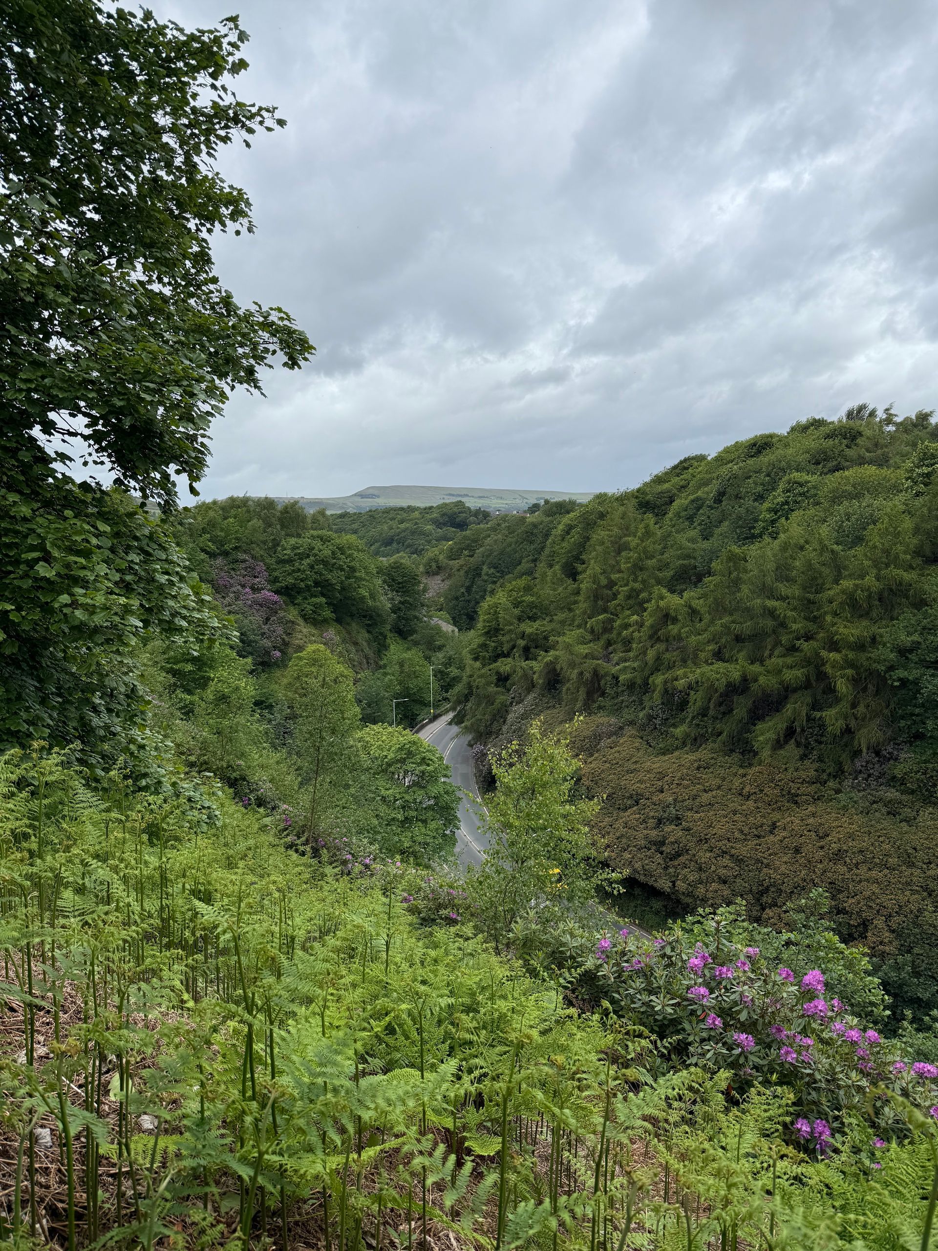Overlooking a lush green valley with a winding road under a cloudy sky.