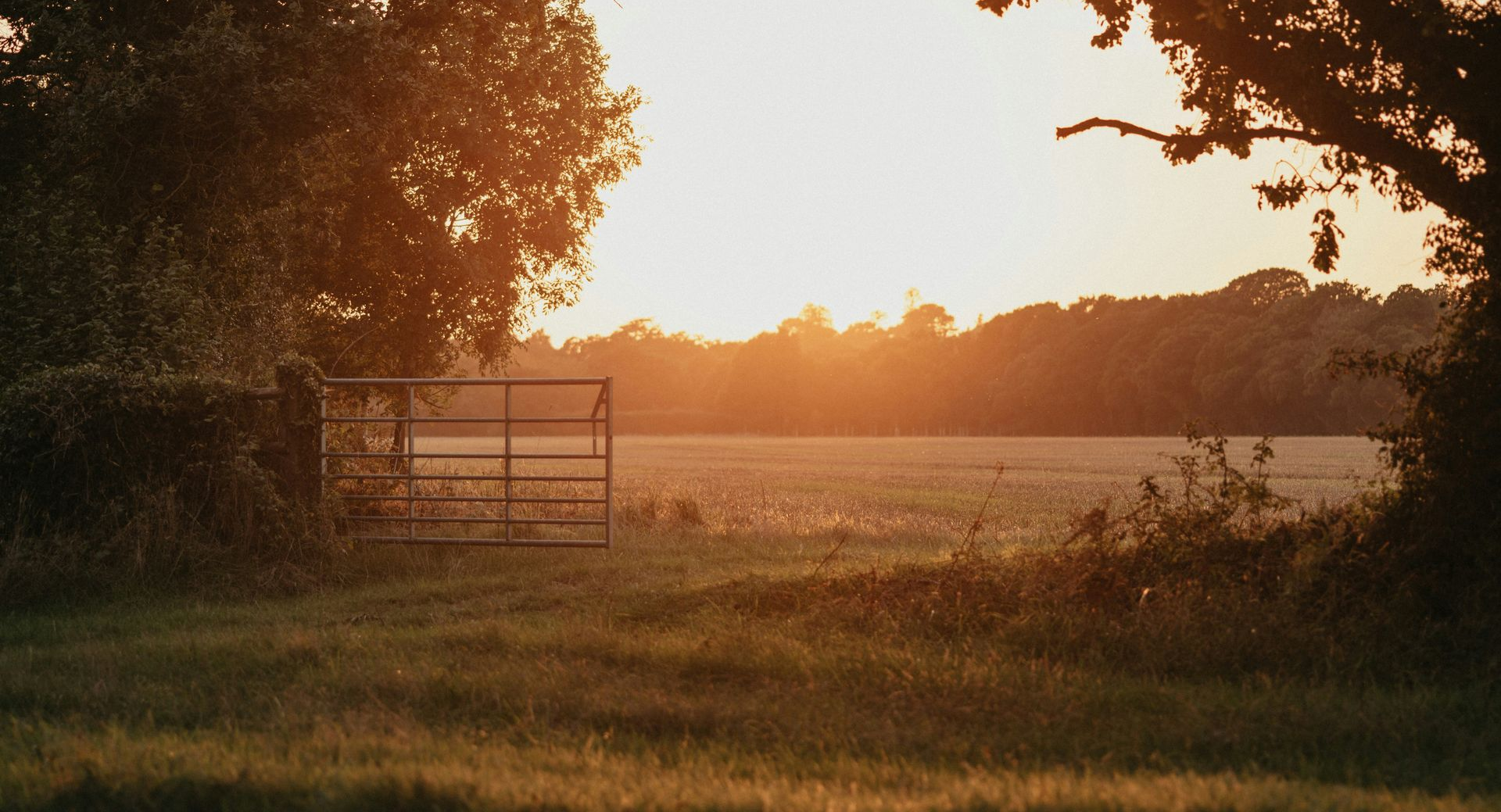 Sunset over a field, framed by trees and a gate; warm golden light.