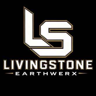 VP Grading & Paving Inc. logo in black and gray with a textured metallic look