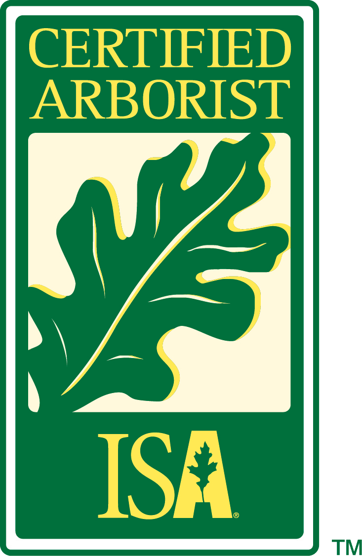 A certified arborist isa logo