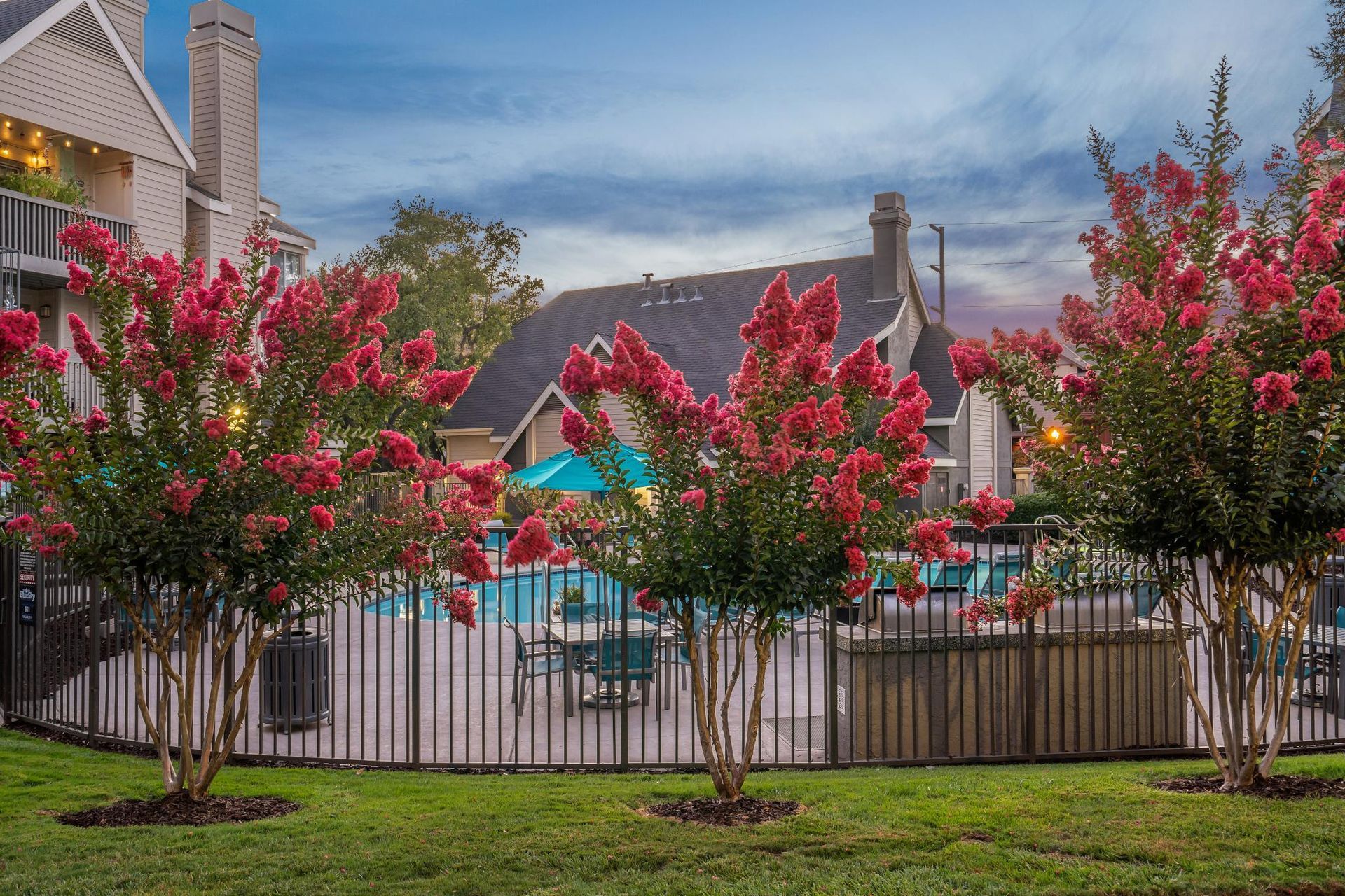 Flowering trees beside a fenced pool with lounge chairs and a castle-like resort backdrop