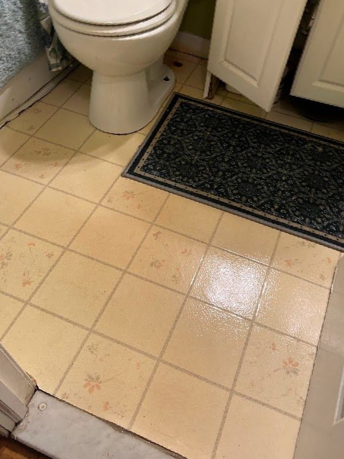 A bathroom with a toilet and a rug on the floor.