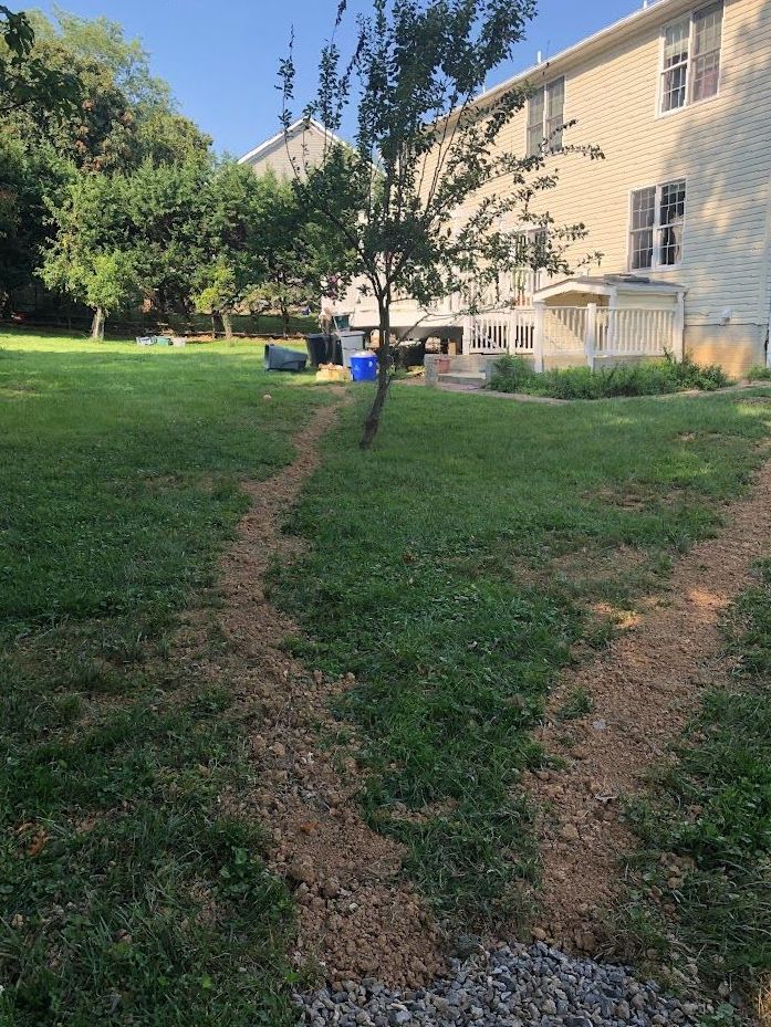 A path in the grass leads to a house.