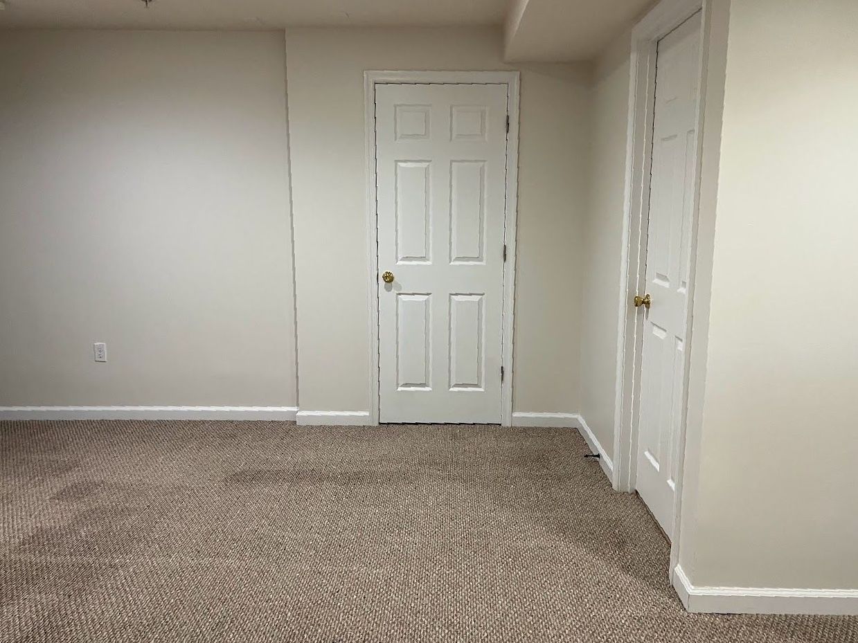 An empty basement with a carpeted floor and a door.