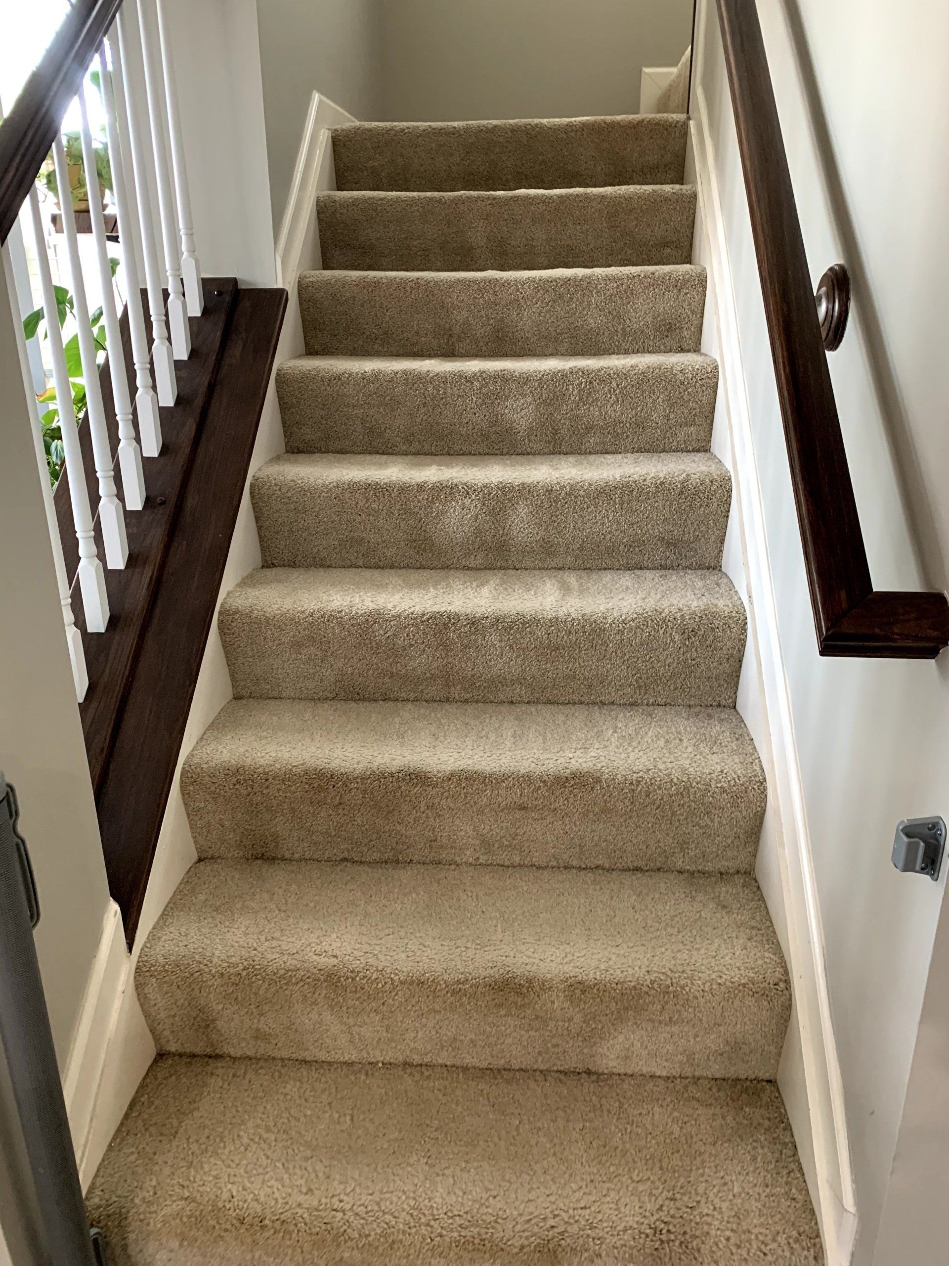 The stairs are carpeted and have a wooden railing.