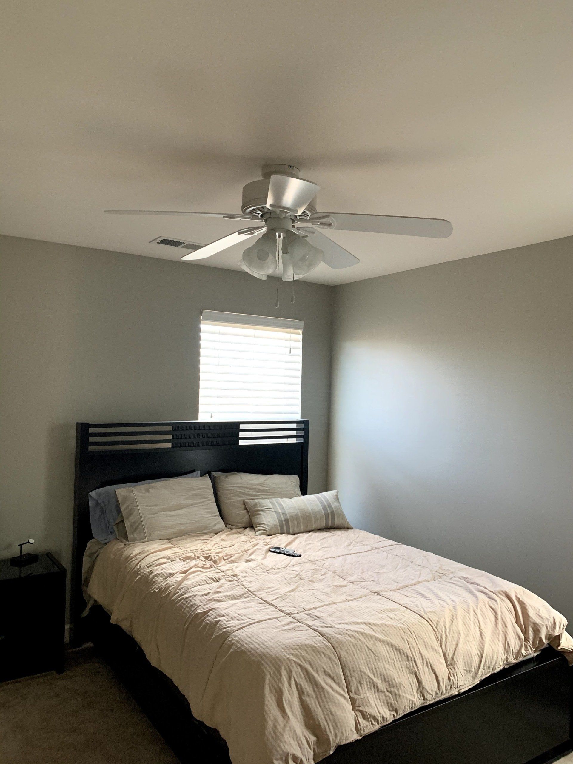 A bedroom with a bed and a ceiling fan.