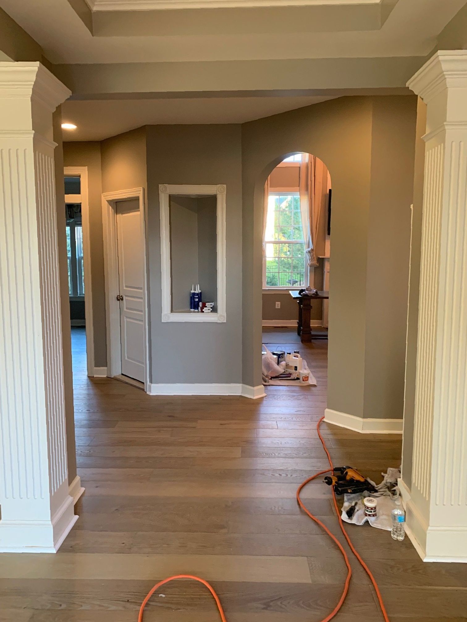 There is a dog laying on the floor in the middle of the room.