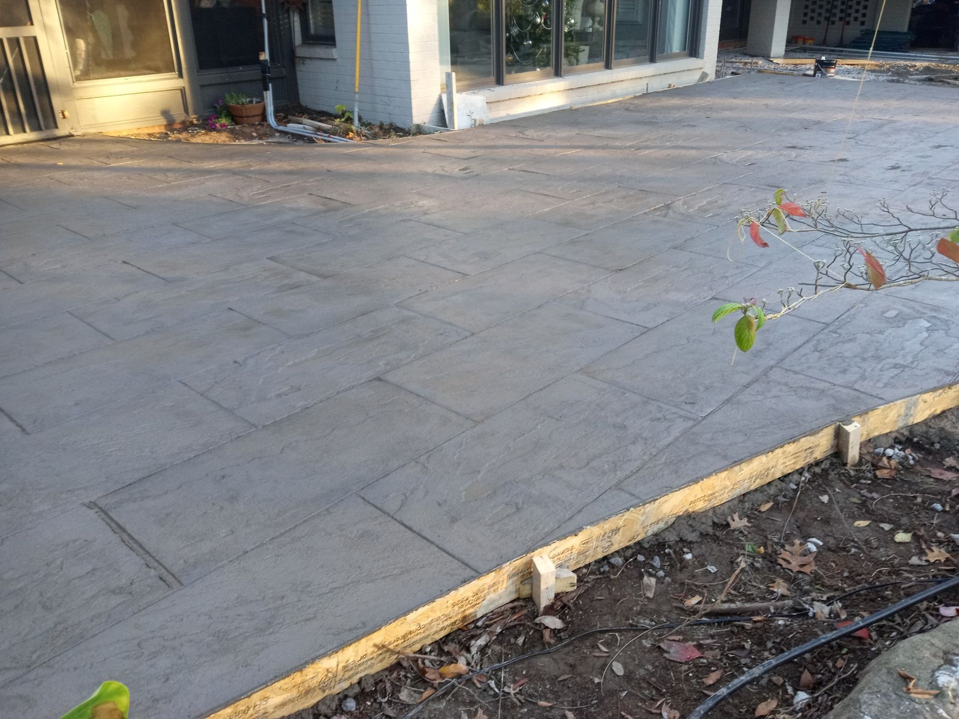 Concrete sidewalk beside a building entrance, with a dirt strip and a small plant in the foreground.