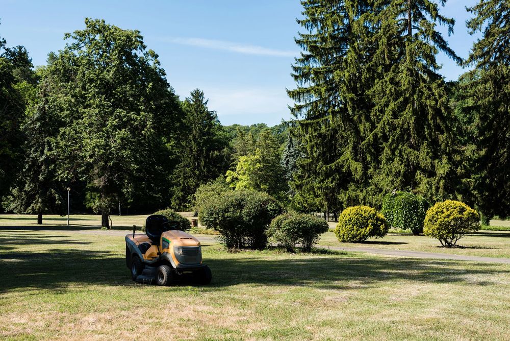 Una persona taglia l'erba in un parco soleggiato con alberi e arbusti.
