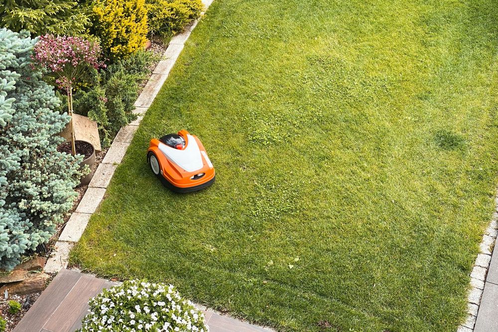 Un robot tagliaerba arancione e bianco su un prato verde accanto a un sentiero nel giardino e ai fiori.