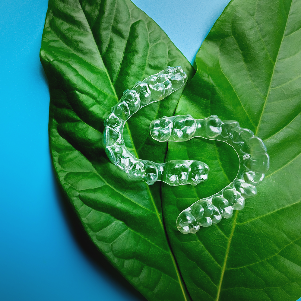 A clear mouth guard is sitting on top of a green leaf.