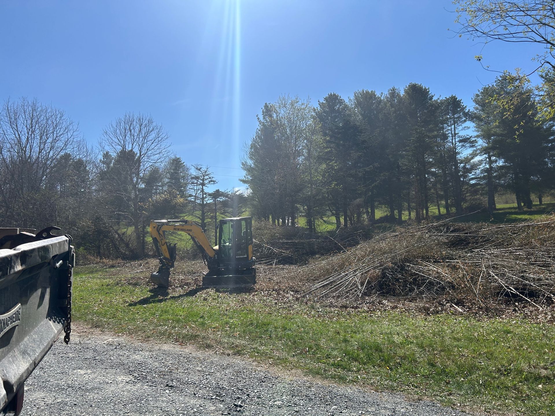 Sunny rural work site with a small excavator clearing brush beside a gravel road and trees