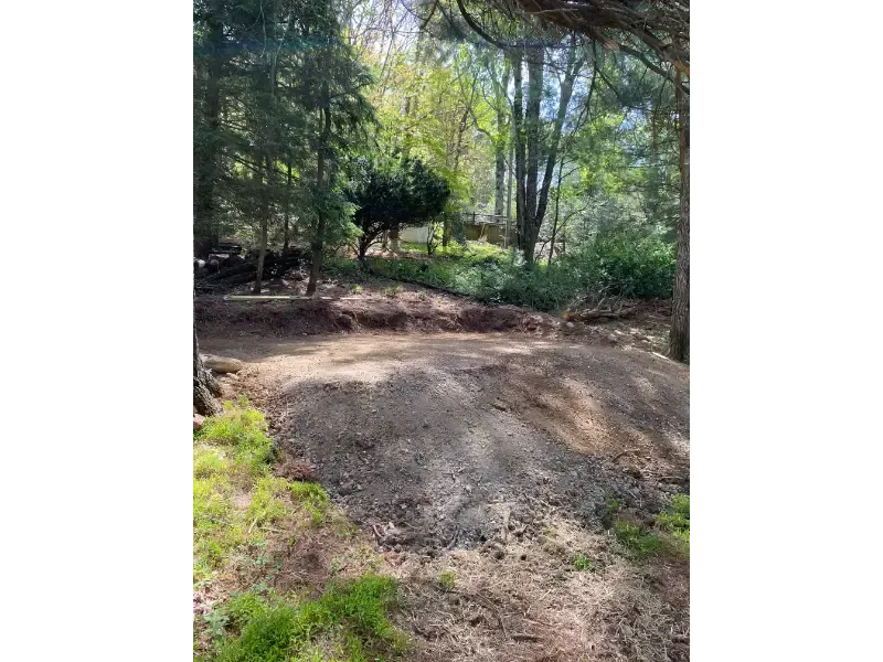 Wooded dirt clearing with sunlit trees and shaded ground through a forest path