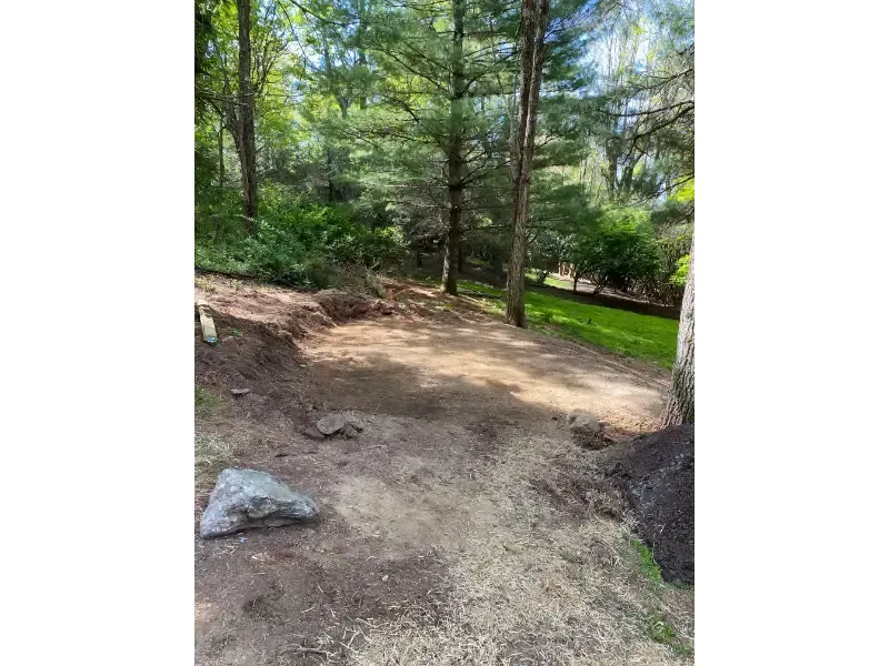 Wooded dirt path with trees, rocks, and sunlight filtering through green foliage