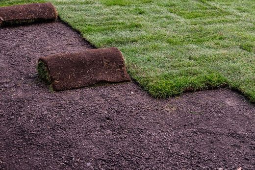 Sod being rolled onto a dirt yard, with fresh green turf beside a purple-brown base layer