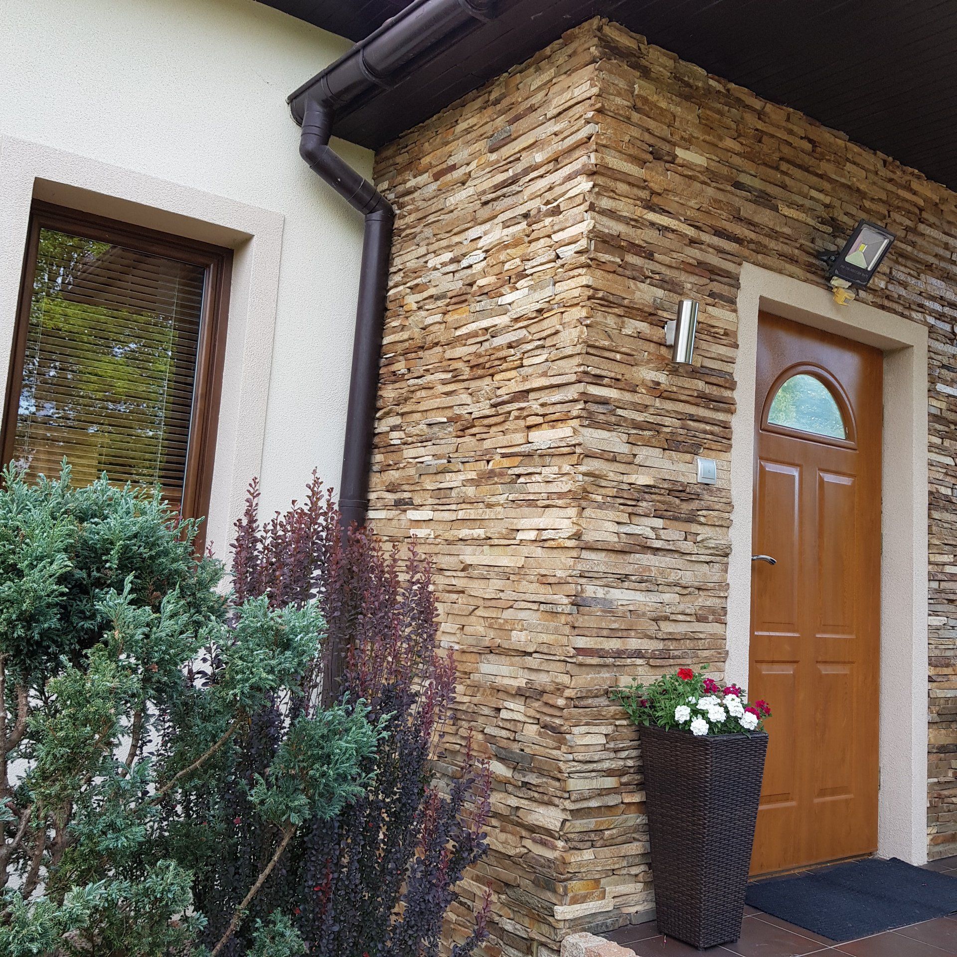 Exterior of a house with stone siding, brown door, window, and greenery.