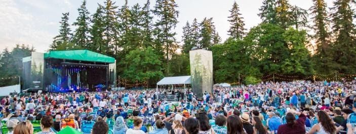 A crowd of people are watching a concert in a park.