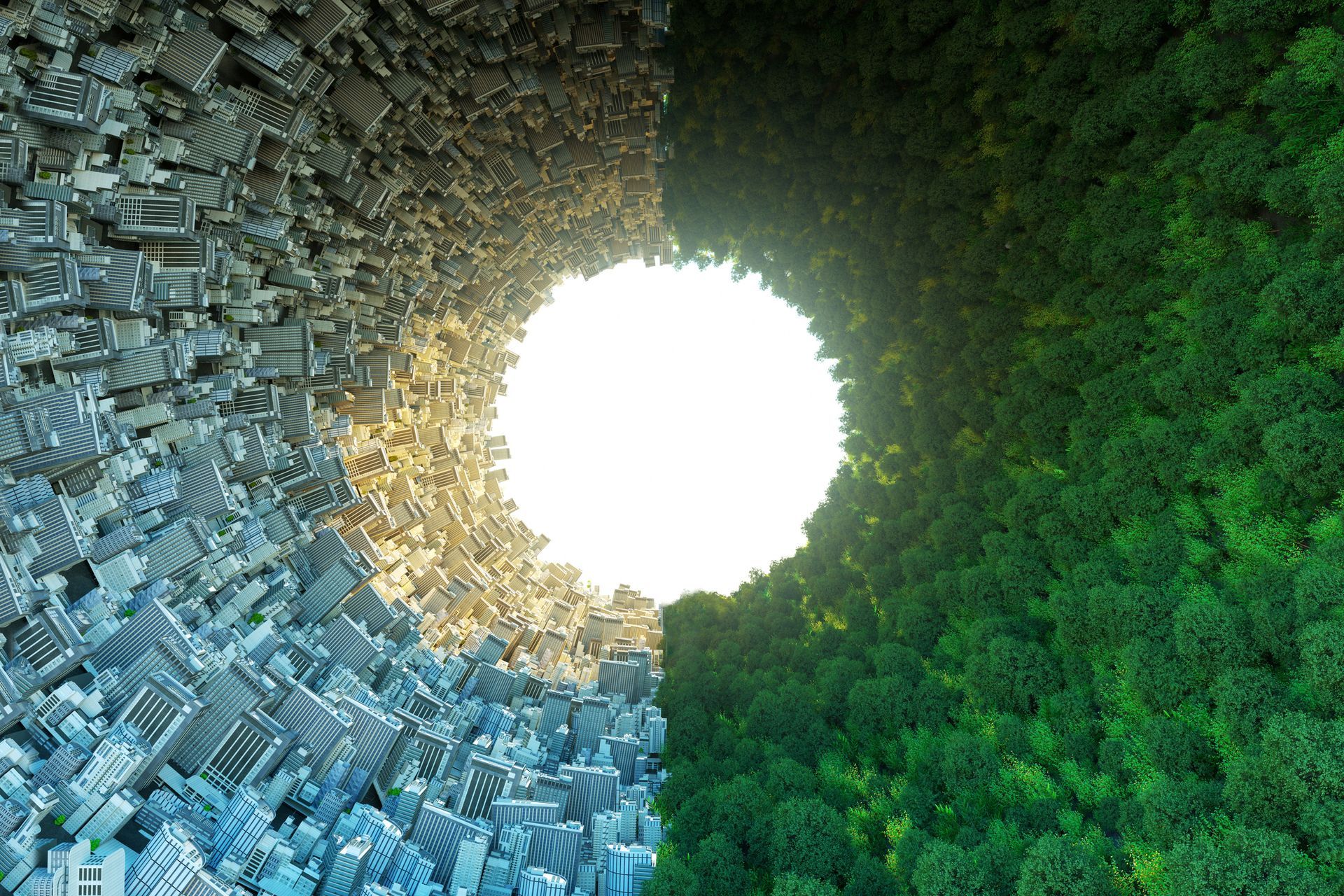 A city and a forest are separated by a hole in the middle
