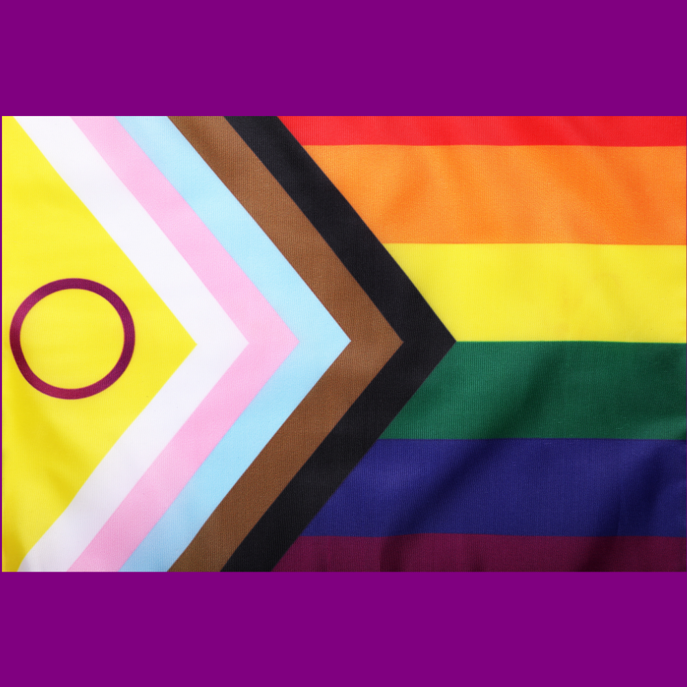 Progress Pride flag with an additional yellow field and a maroon circle.