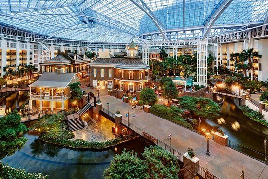 Bright indoor tropical atrium with glass roof, winding pathways, water, and lush plants