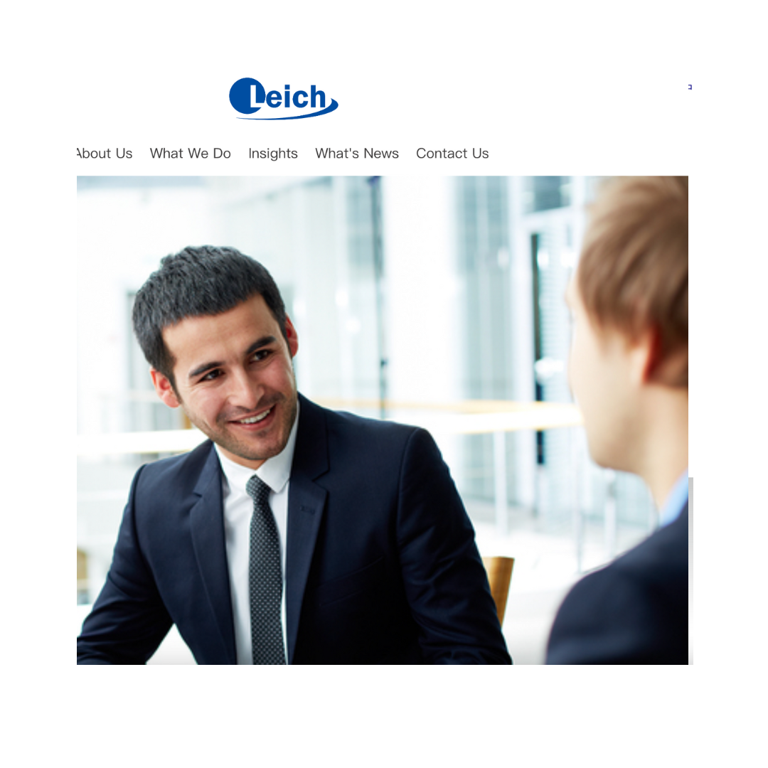 Leich Finance Website picture