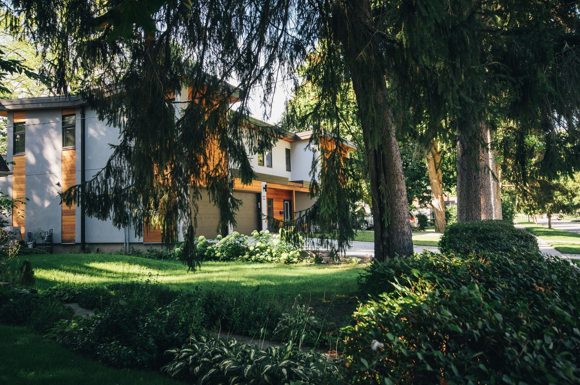 A house with a lot of trees in front of it - abraham sanieoff