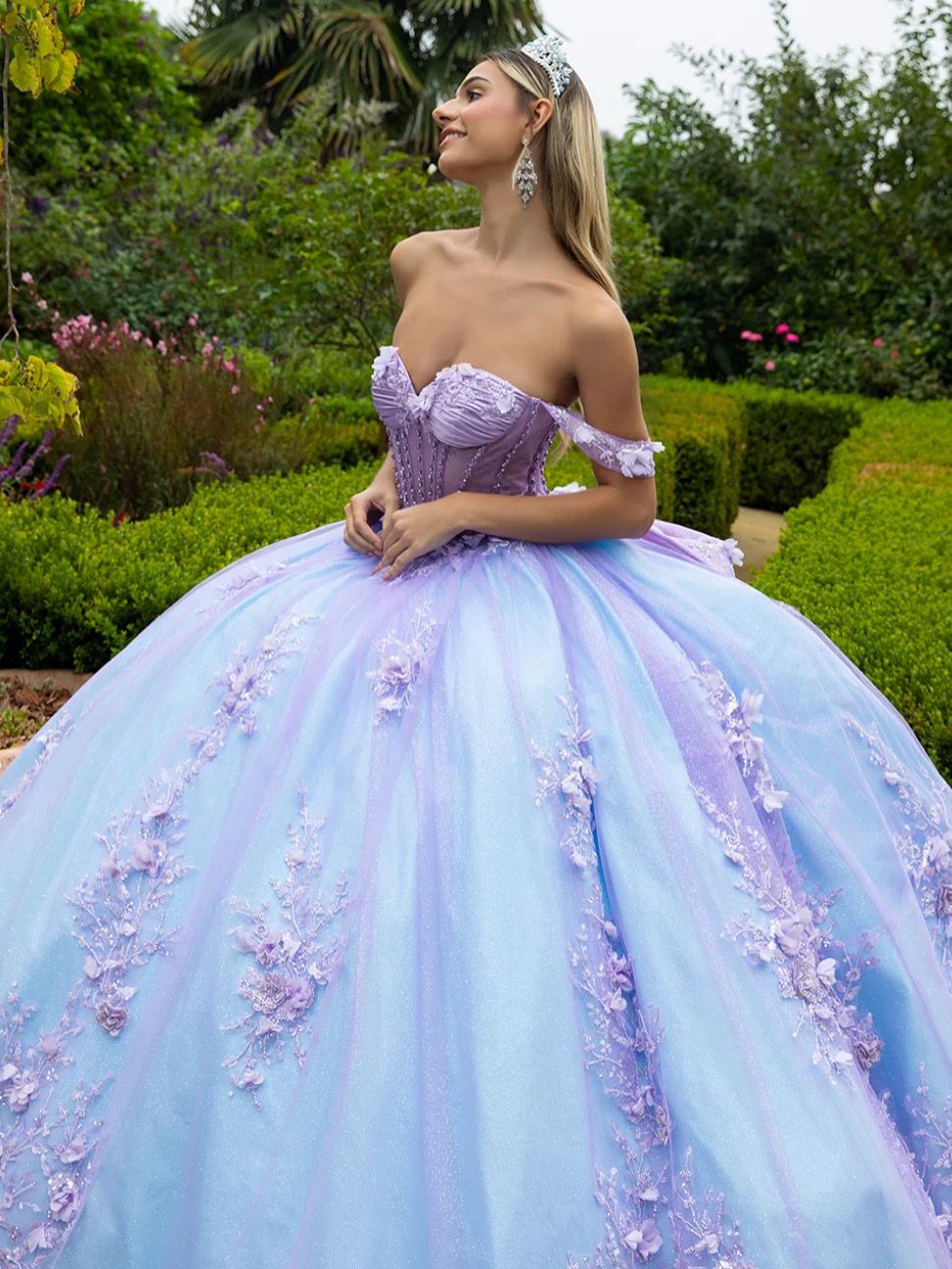 Quinceañera/Sweet 16 Dresses 1826