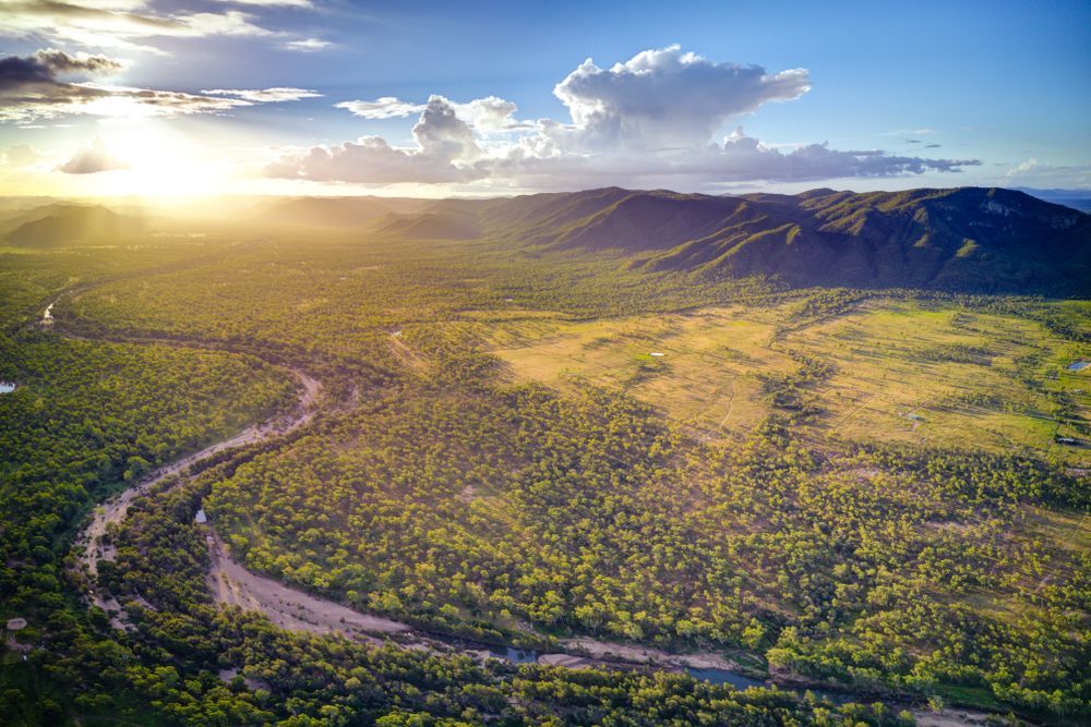 An Aerial View Of A River Running Through A Lush Green Forest — PGI North QLD In Charters Towers, QLD