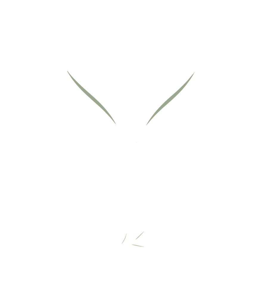 A Safe Place to Share Online Therapy Logo