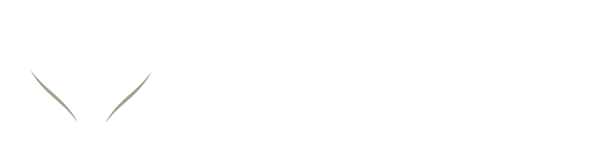 A Safe Place to Heal Online Therapy Logo