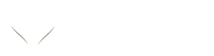A Safe Place to Heal Online Therapy Logo A Safe Place to Heal Online Therapy Logo