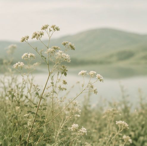 Tranquil lake scene Tranquil lake scene