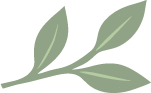 Leaves Icon Leaves Icon