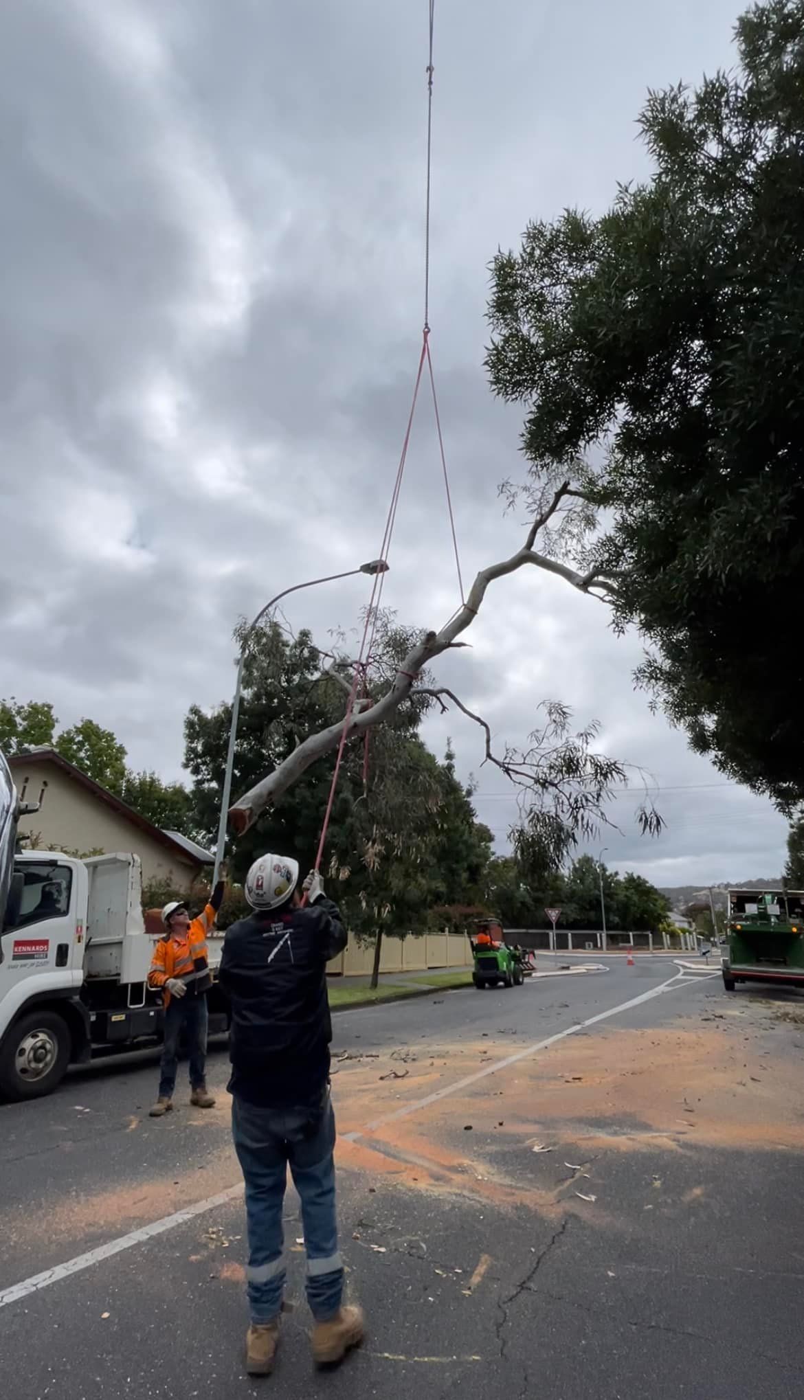 Lifting Equipment for Tree — Adelaide, SA — AGL & Son Crane Hire