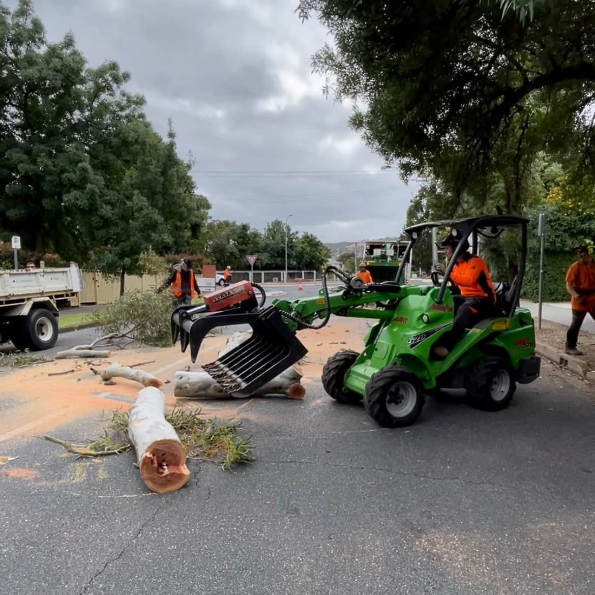 Large Tree Branches — Adelaide, SA — AGL & Son Crane Hire