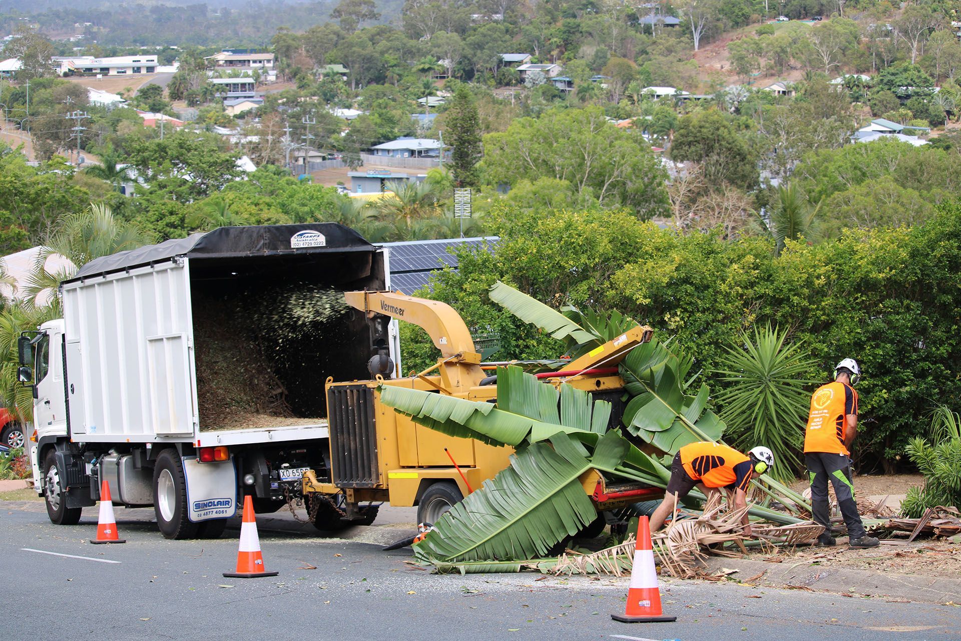 tree chipping