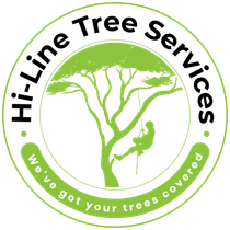 Hi-Line Tree Services Whitsundays