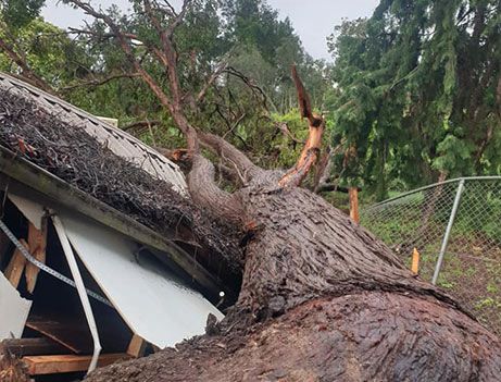 storm ravaged land