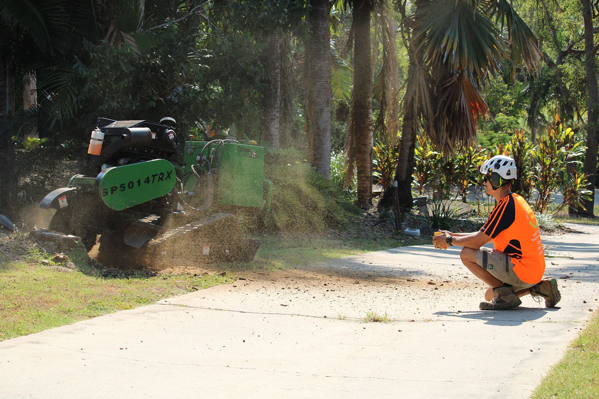 stump grinding
