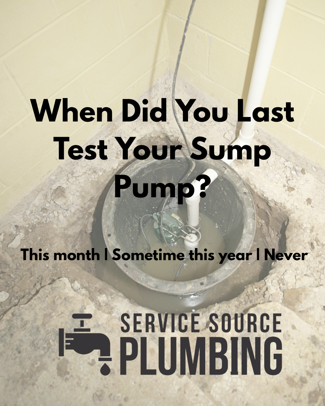 Text ad over a basement sump pit: “When Did You Last Test Your Sump Pump?” with Service Source Plumbing logo.