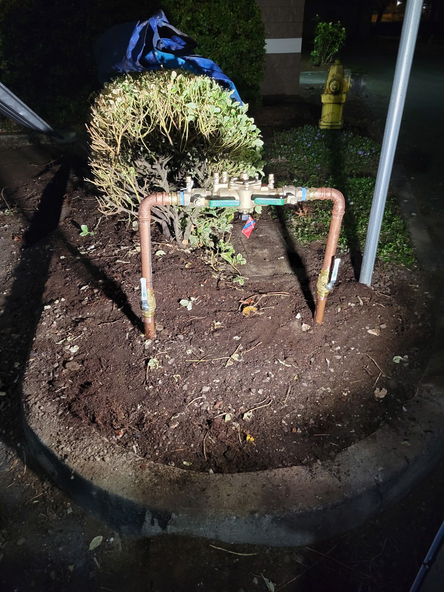Small garden bed at night with a metal frame over soil and a bush in the background.